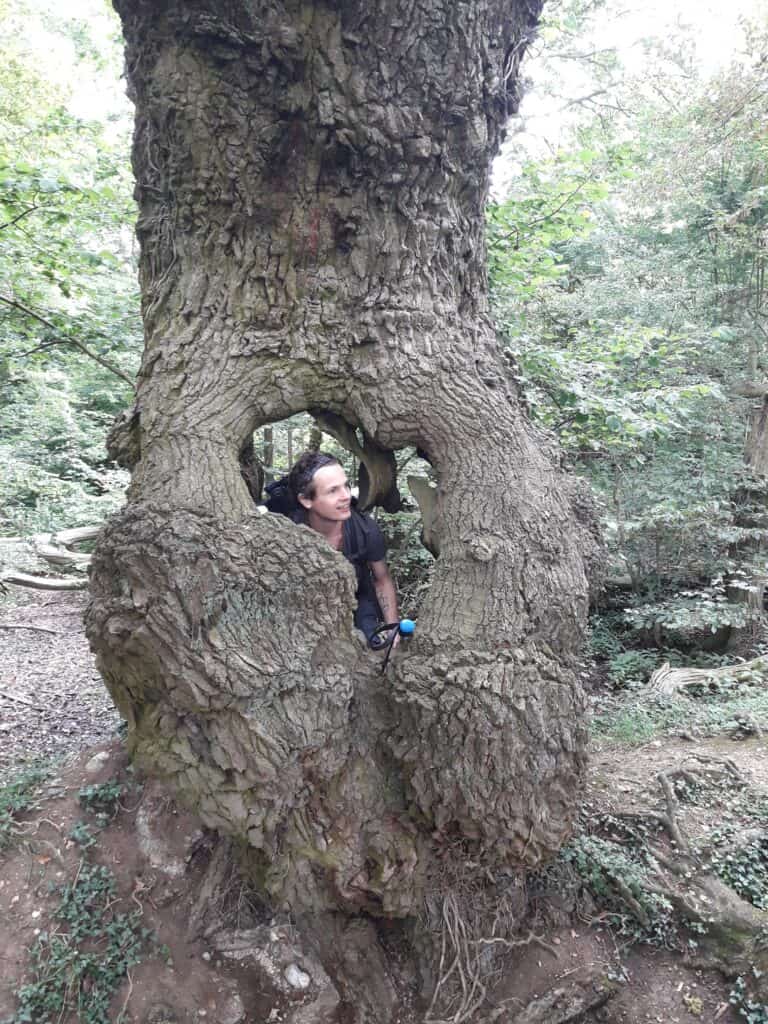 Heart shaped tree near Arminghall