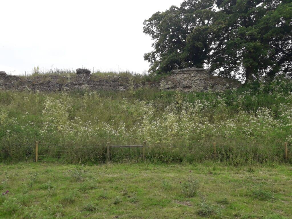 Caister-St-Edmund Roman town